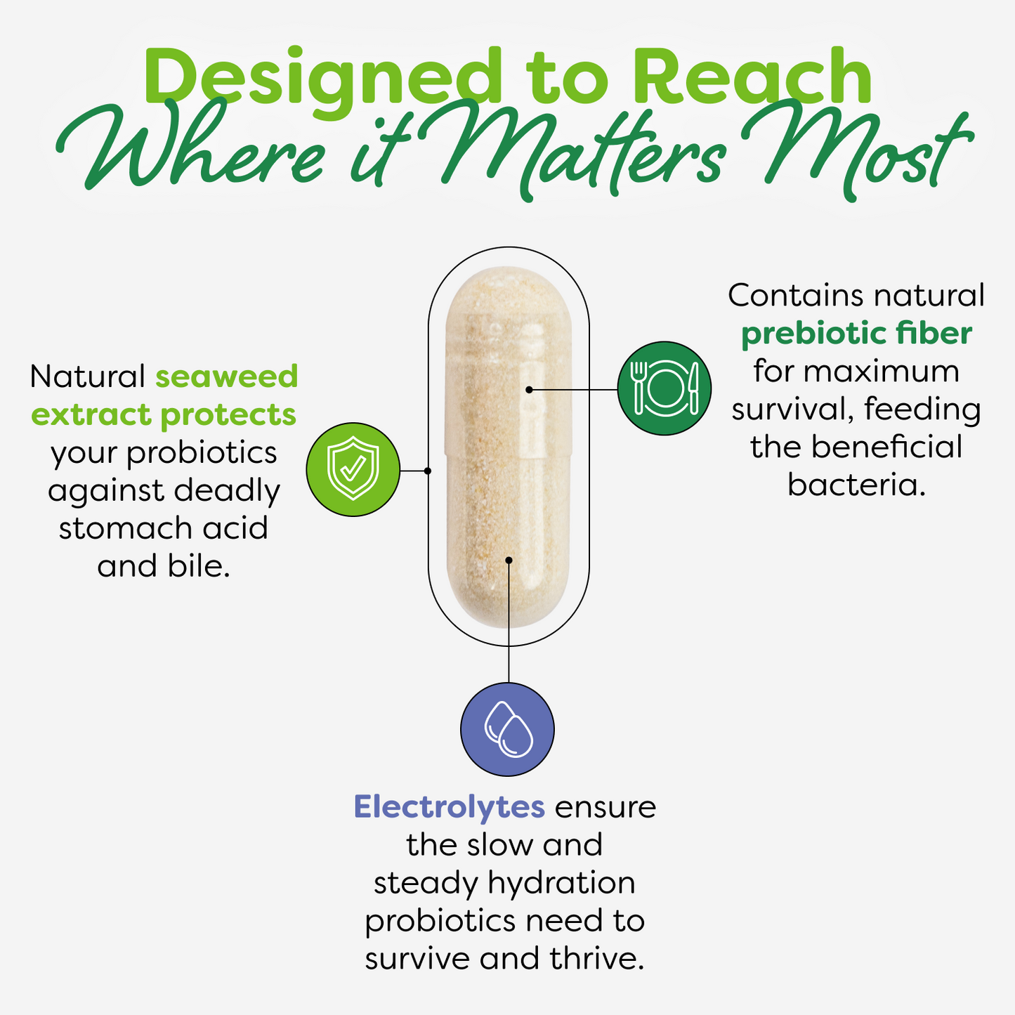 Total Care Immune Probiotic Capsules - 30 Count