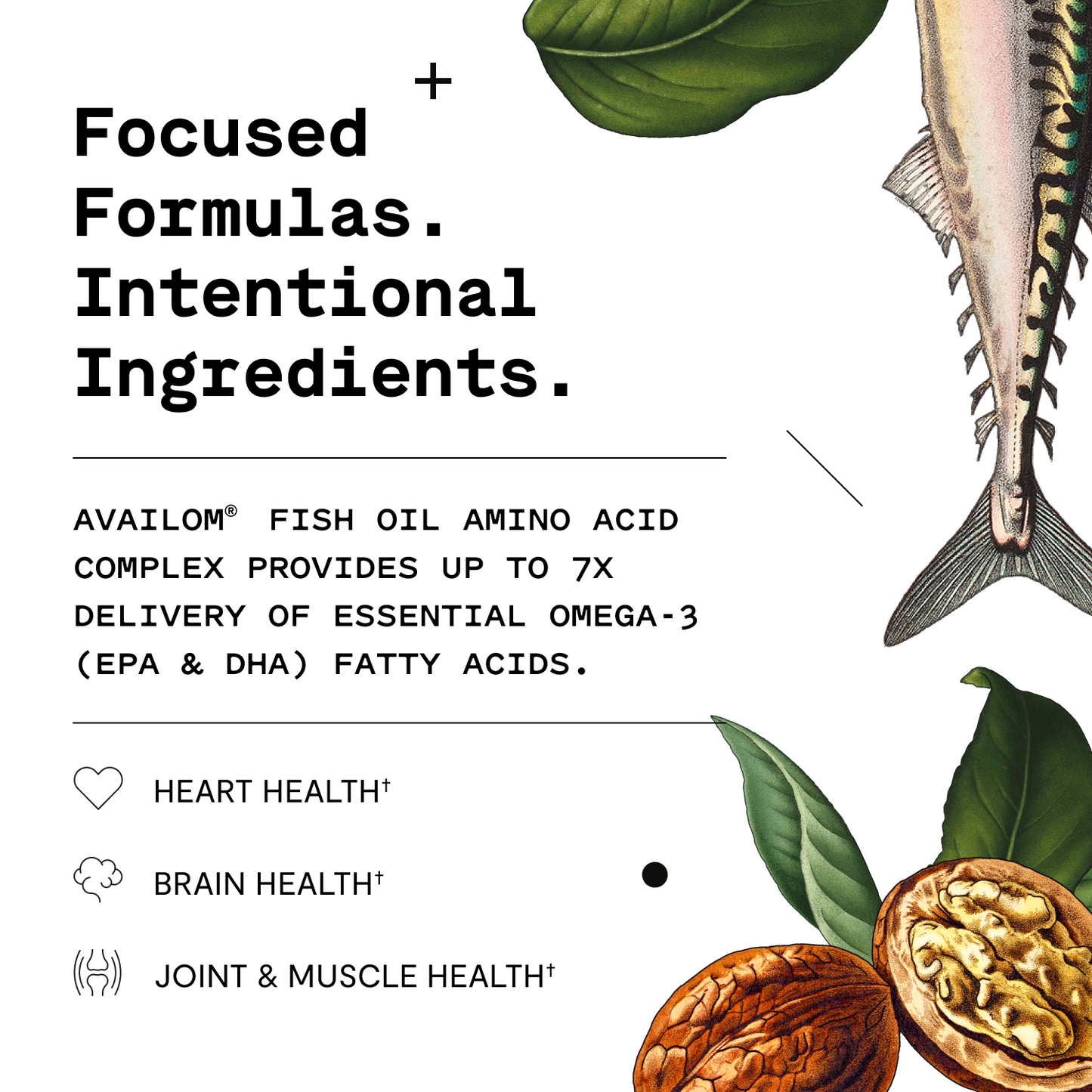 Omega Complete Capsules
