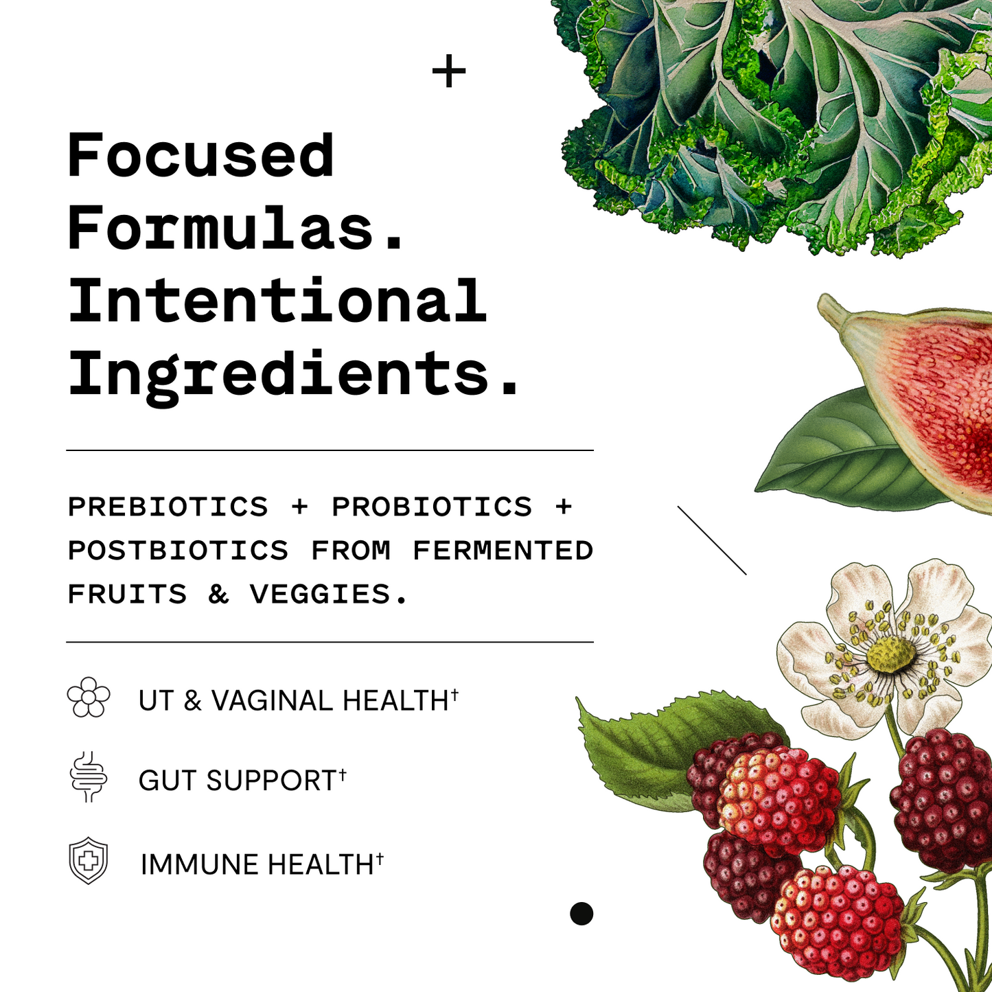 Women's Probiotic Capsules