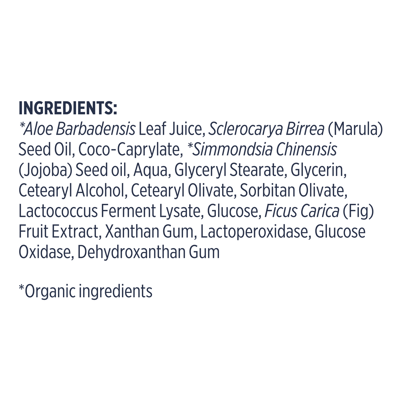 Probiotic Extract Marula Eye Cream