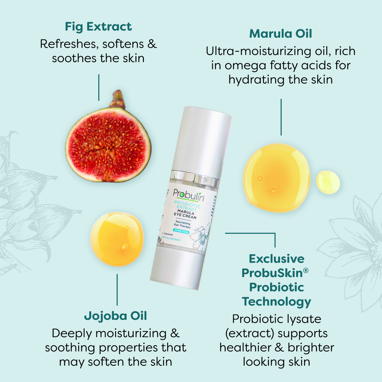 Probiotic Extract Marula Eye Cream