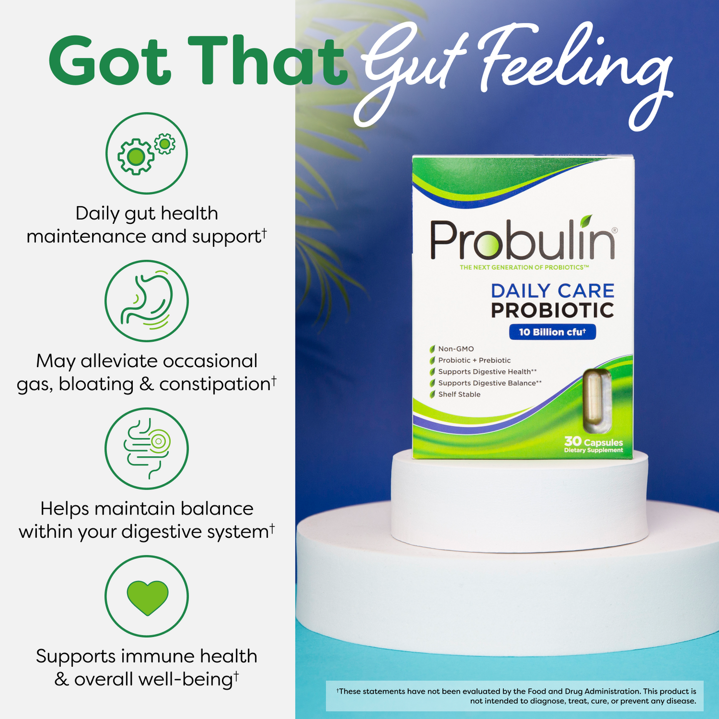 Daily Care Probiotic Capsules