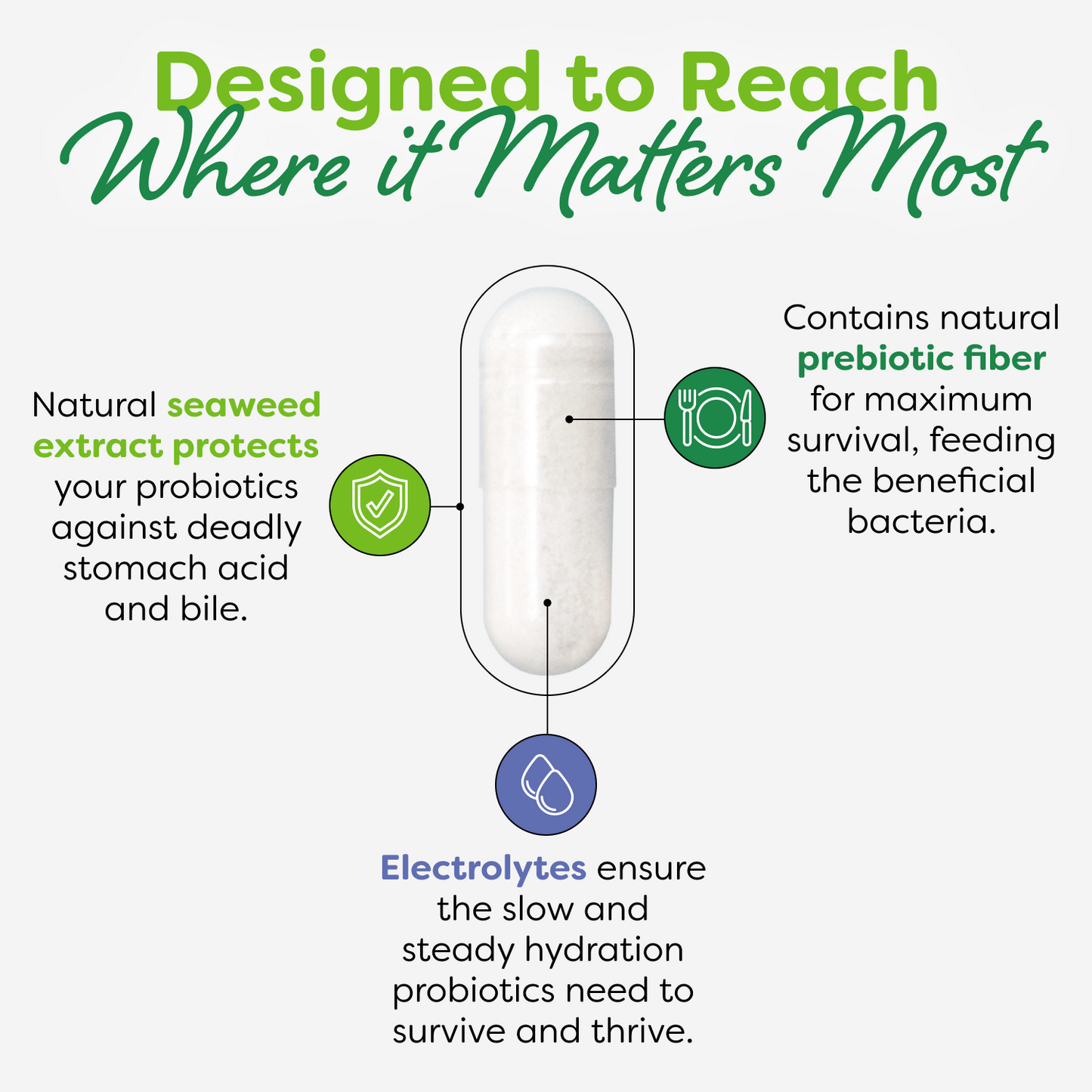 Daily Care Probiotic Capsules