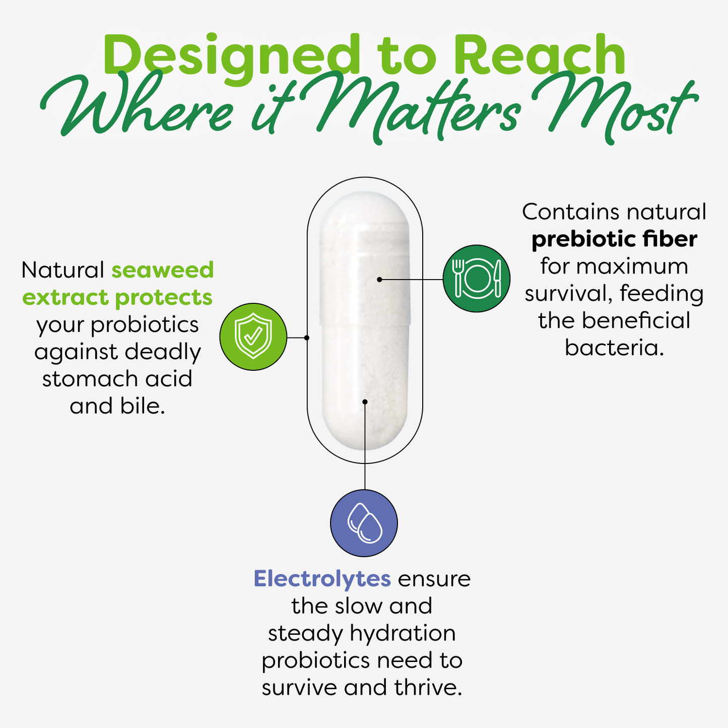 Total Care Probiotic Capsules