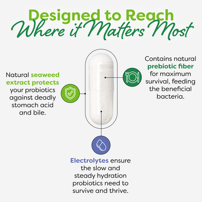 Women’s Health Probiotic Capsules