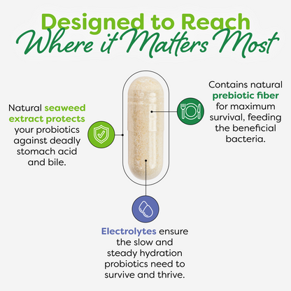 Total Care Women’s UT Probiotic Capsules - 30 Count