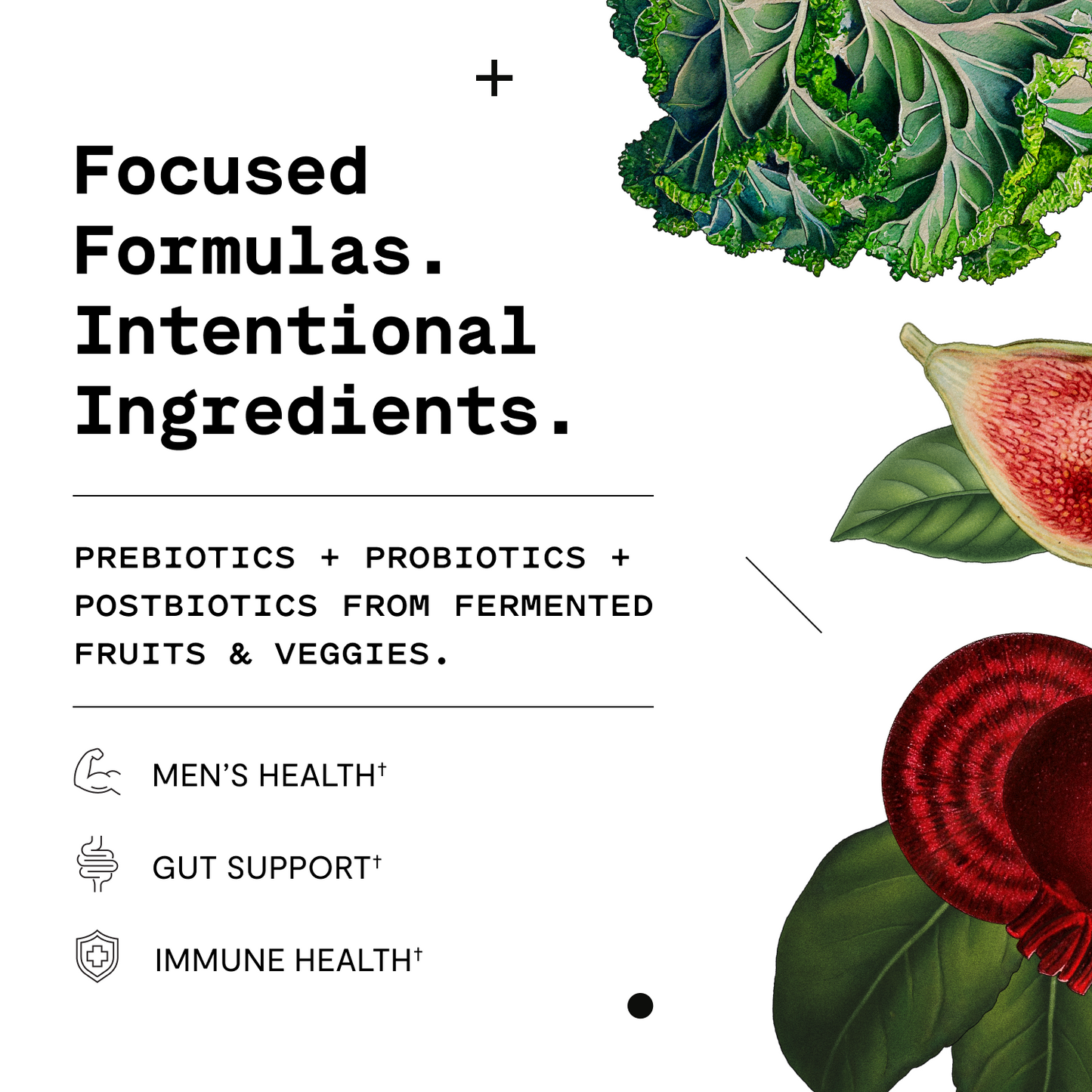 Men's Probiotic Capsules